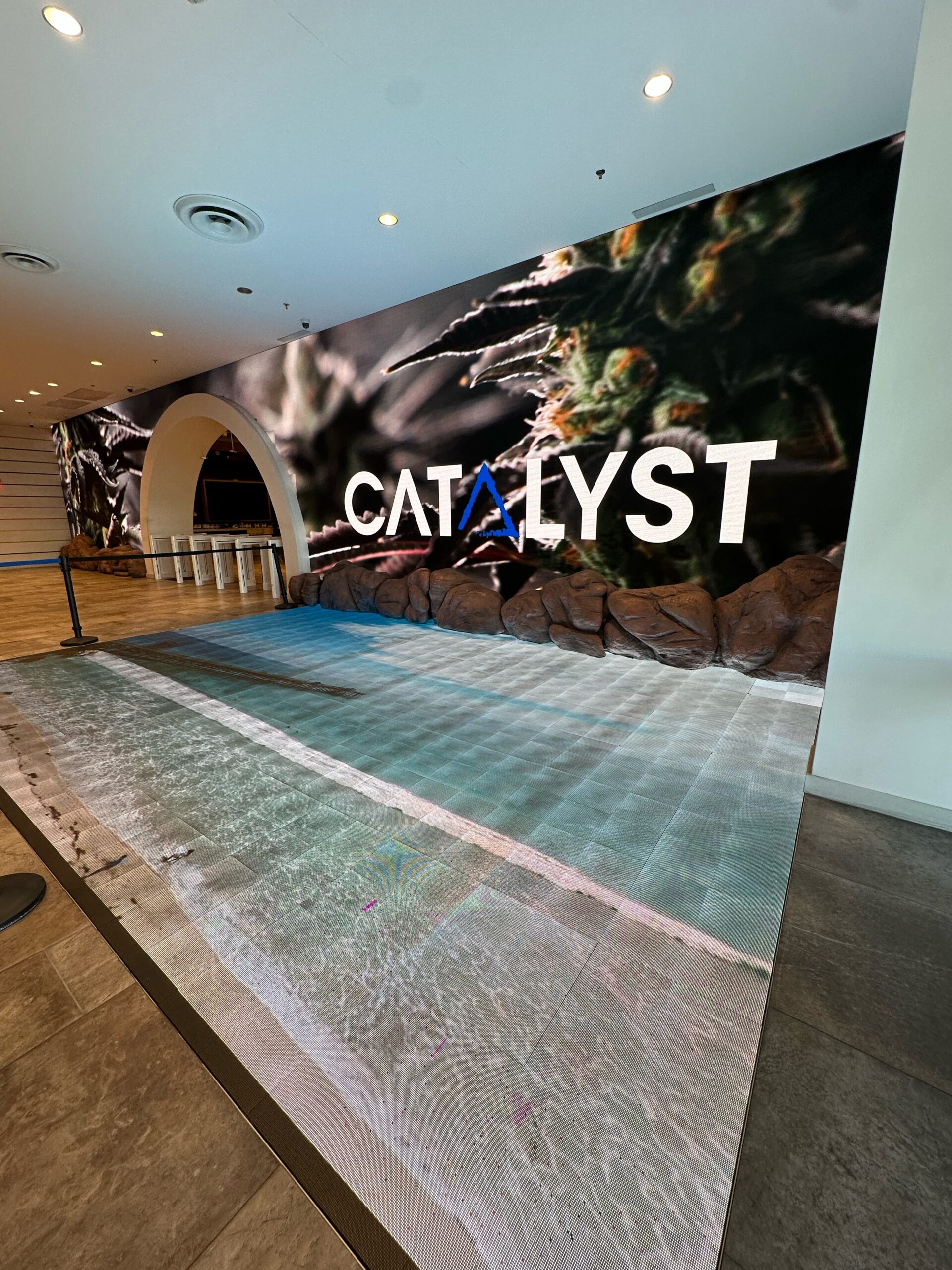 Planet Catalyst Orange County - View 2